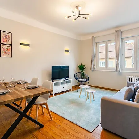 Apartment Le Havre Des Cigognes - Grand T3 A Strasbourg